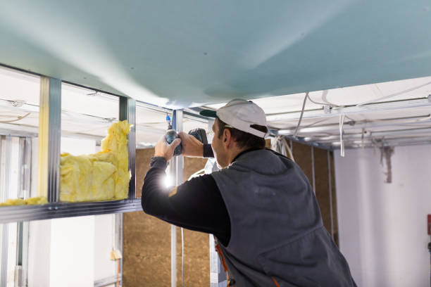 Professional Insulation Contractor in Southern Shops, SC