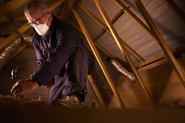 Best Geographic-Specific Insulation Services in Southern Shops, SC